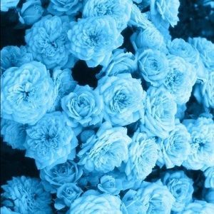 Meet your Posher, Storm